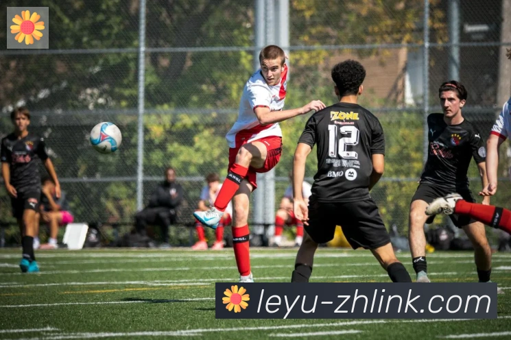 乐鱼leyu发展历程