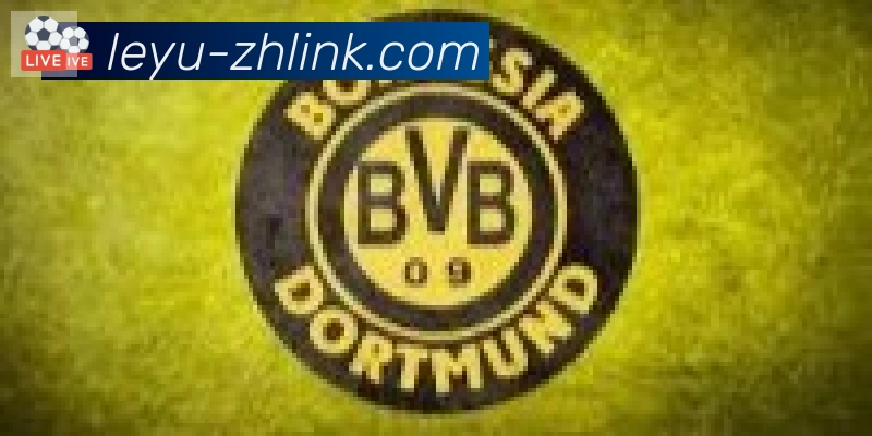 乐鱼leyu合作伙伴